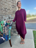 Ainsley Maxi Hooded Dress